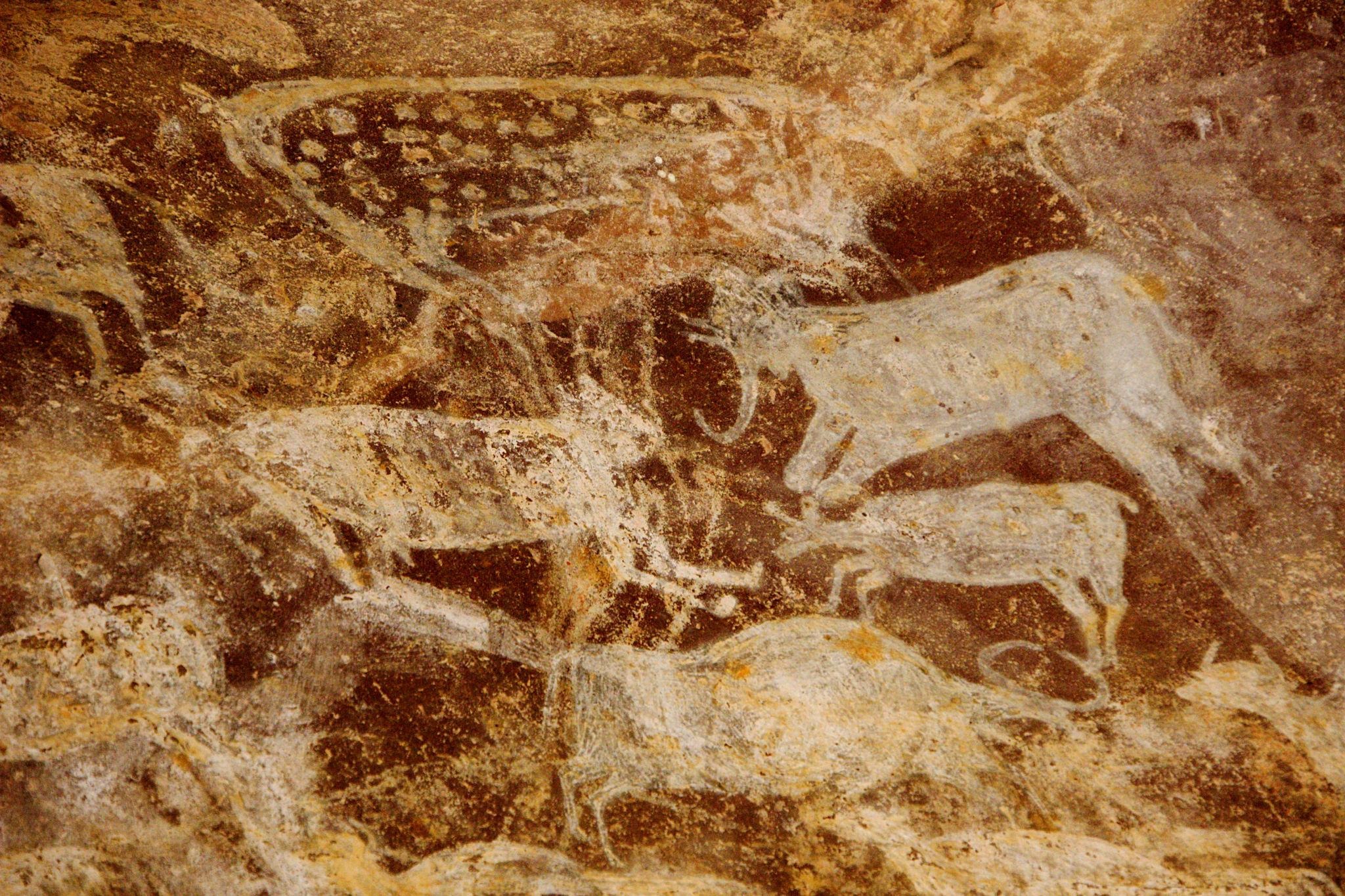 Bhimbetka Painting Image - Madhuban Eco Retreat