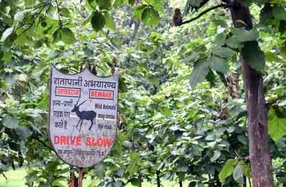 ratapani tiger reserve 